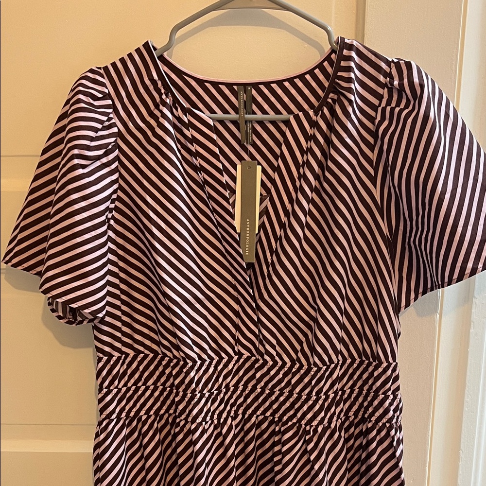 Anthropologie Pink and Brown Striped Maxi Dress